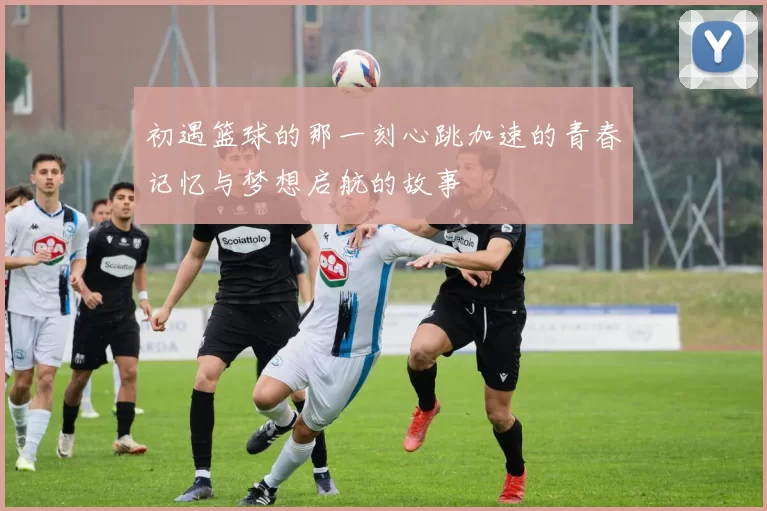 初遇篮球的那一刻心跳加速的青春记忆与梦想启航的故事