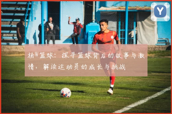 杨W篮球：探寻篮球背后的故事与激情，解读运动员的成长与挑战