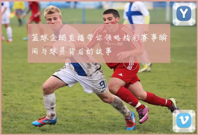 篮球企鹅直播带你领略精彩赛事瞬间与球员背后的故事